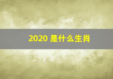 2020 是什么生肖